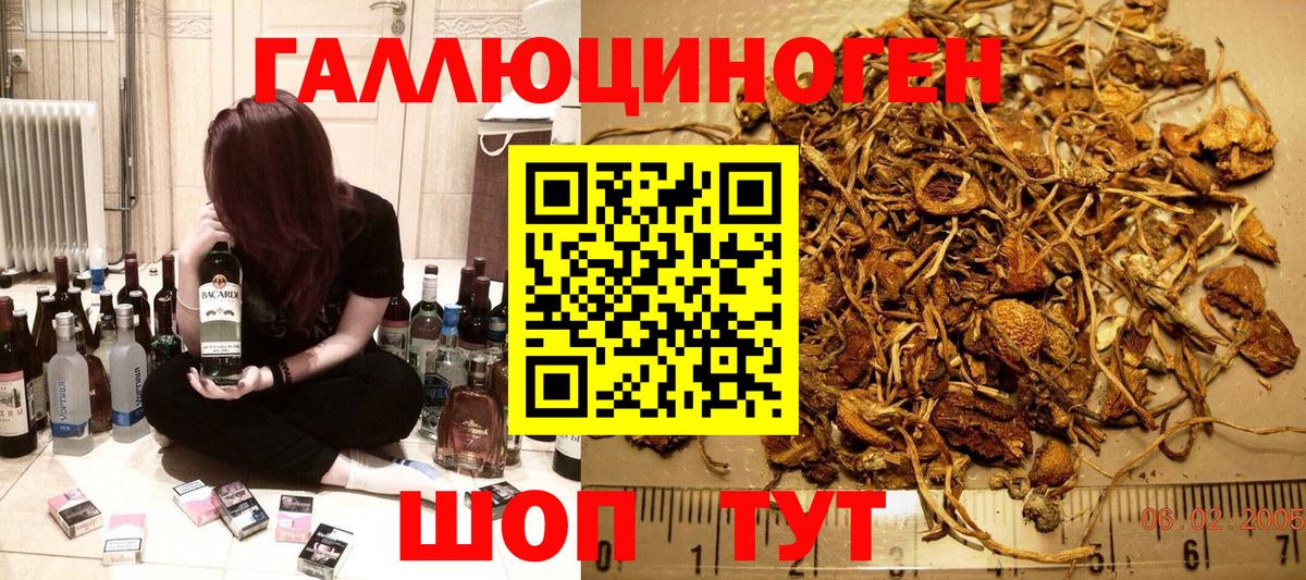 Псилоцибиновые грибы прущие грибы  Вход с VPN  Северск 
