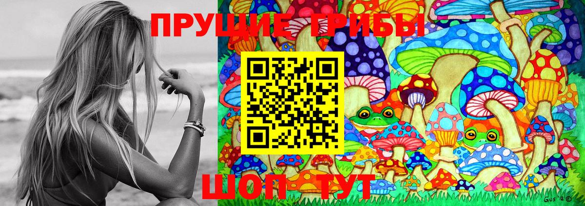Галлюциногенные грибы MAGIC MUSHROOMS Северск