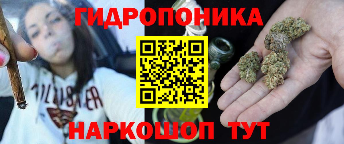 Каннабис гибрид Северск